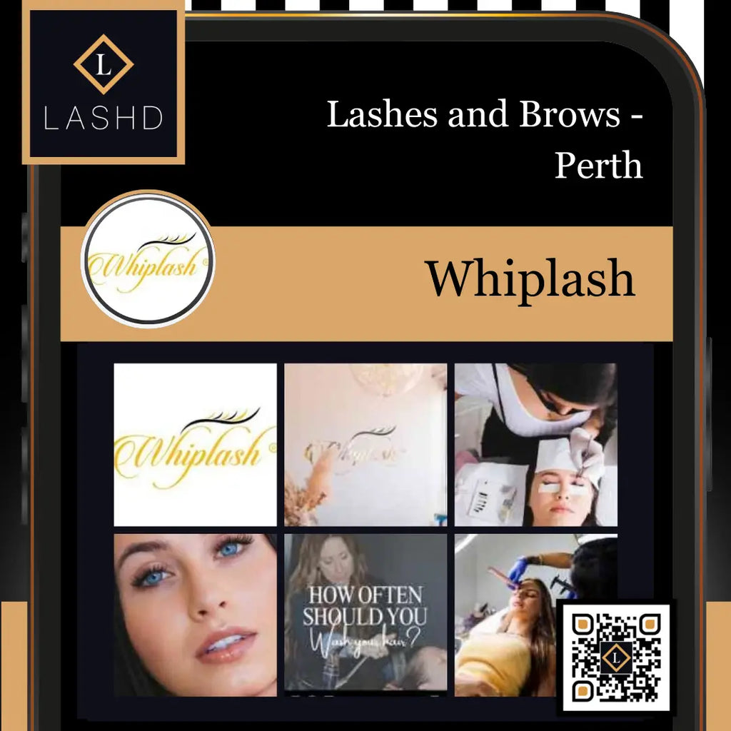 Lashes and Brows - Western Australia Perth - Lashd App - Whiplash